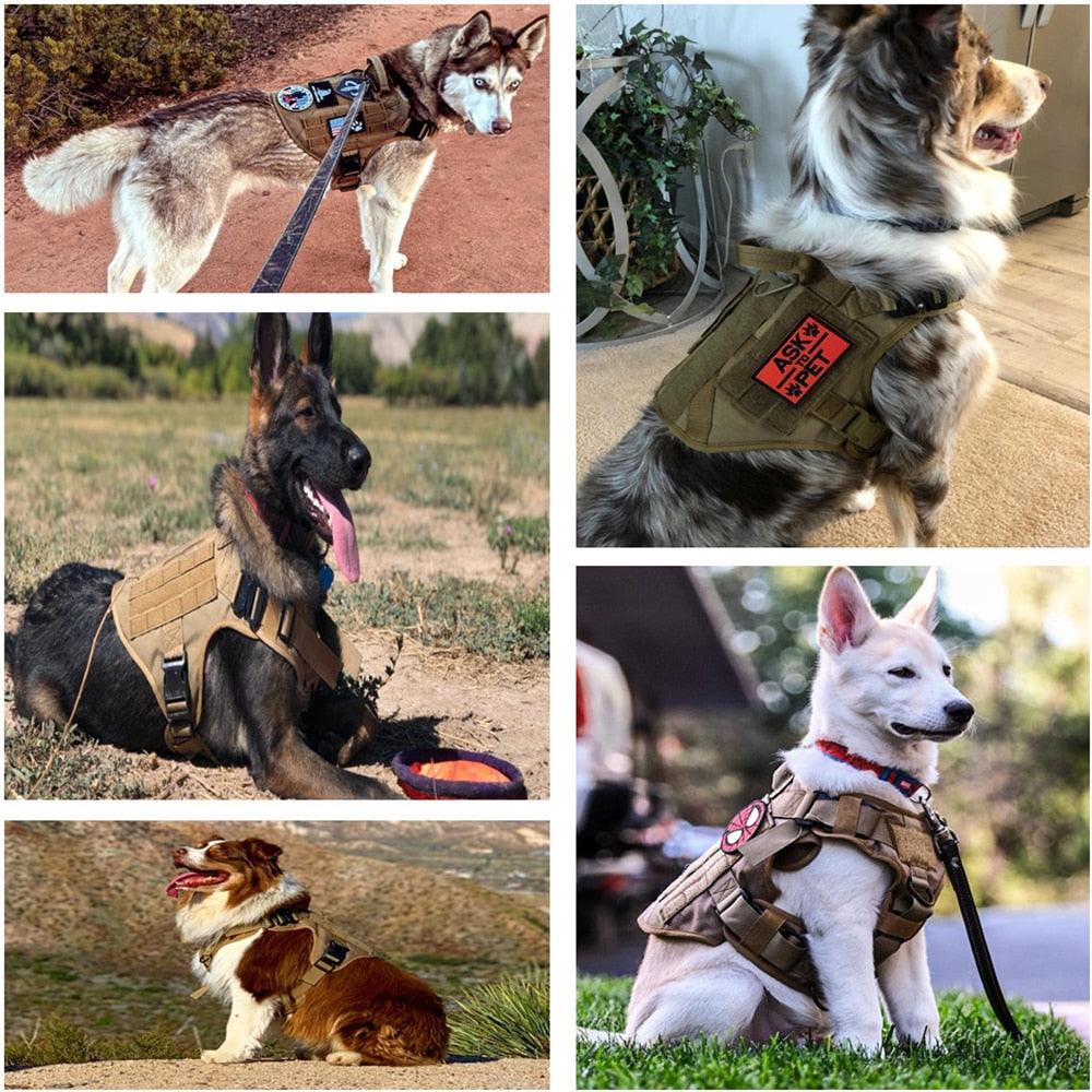 Military K9 Training Vest - my LUX style