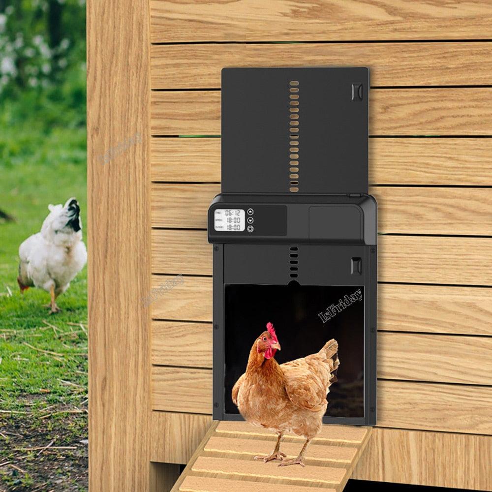 Timer Automatic Chicken Coop Door Opener - my LUX style